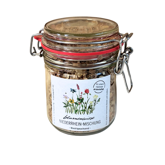 Niederrhein-Mischung Blumenwiese Saatgut/Sämereien