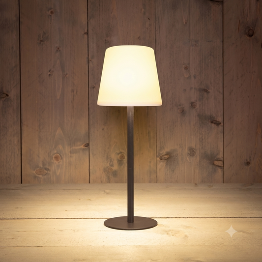 Tischlampe LED wiederaufladbar schwarz | Anna`s Collection